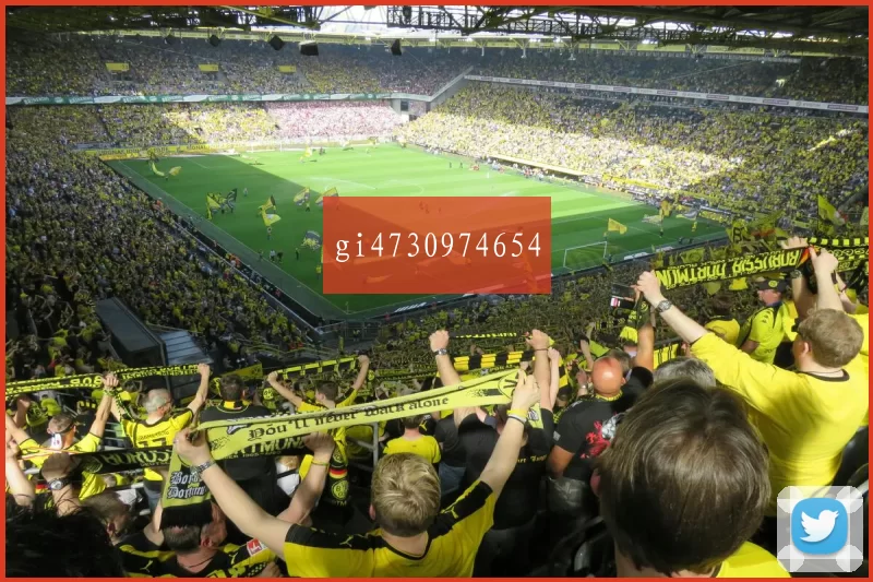 gi4730974654